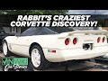 Rabbit's CRAZIEST Corvette discovery ever!