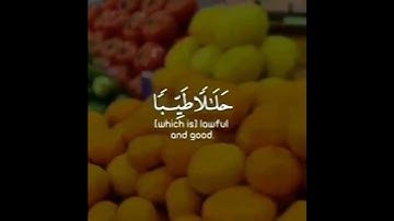 تلاوة خاشعة تريح القلب❤ #تلاوة_خاشعة #القرآن_الكريم #تيك_توك