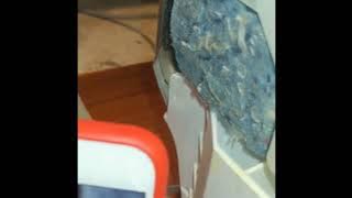 Bosch dishwasher code E15 is leaking from the tub through the back wall seal #shorts