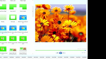Adding Extra Effects and Transitions on WMM, tutorial 2