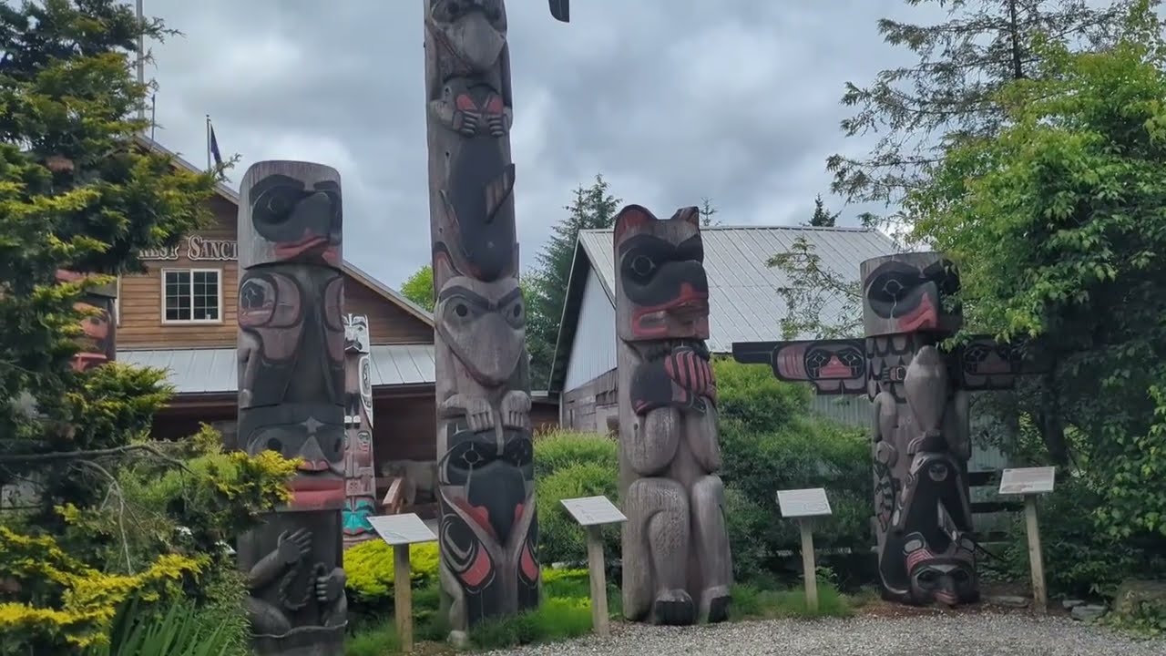We Saw BEARS in Ketchikan! Kawanti Adventures Rainforest Wildlife Sanctuary and Totem Park Excursion