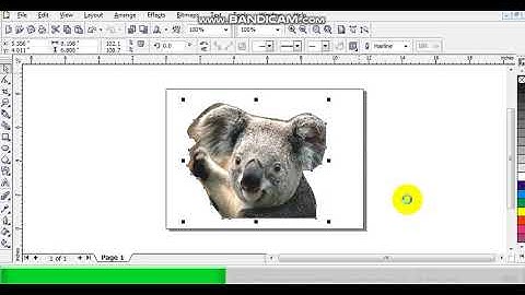How to export image without background in Coreldraw X3