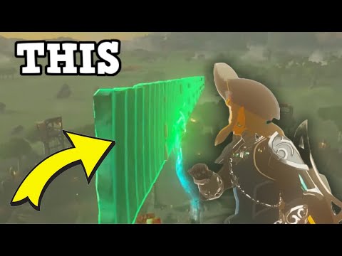 What's the DUMBEST thing you can build in Tears of the Kingdom?