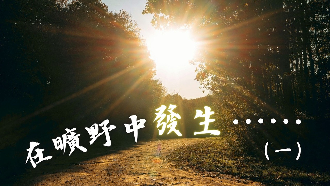 在曠野中發生⋯⋯（一）