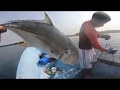 Rodeando los jureles, cayó para comer y regalar