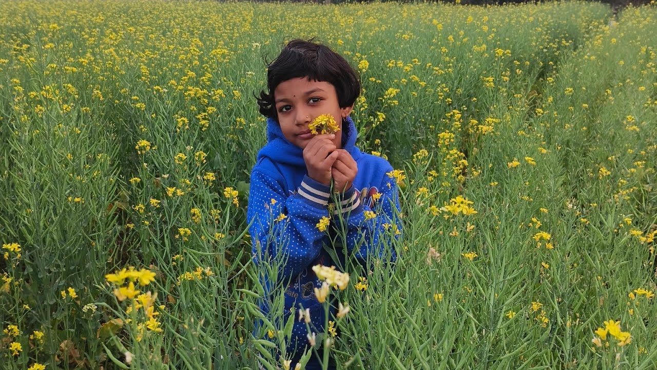 Number count 1-100, সঠিক নম্বর বলতে পারলে পাবে খাবার। দারুন মজার খেলা। ভিডিও টি দেখুন।