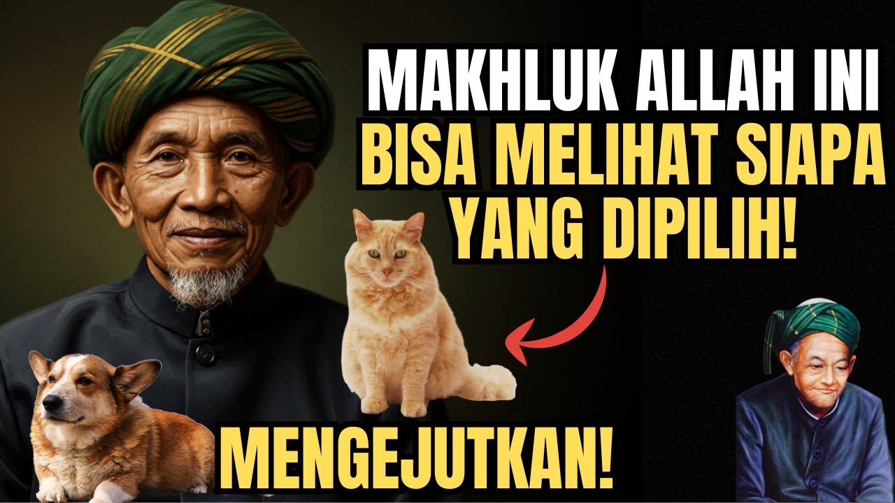 KH. Hasyim Asy’ari Bongkar Kebenaran: 8 Hewan Ini Diam-Diam Mengenali Orang-Orang Pilihan Allah