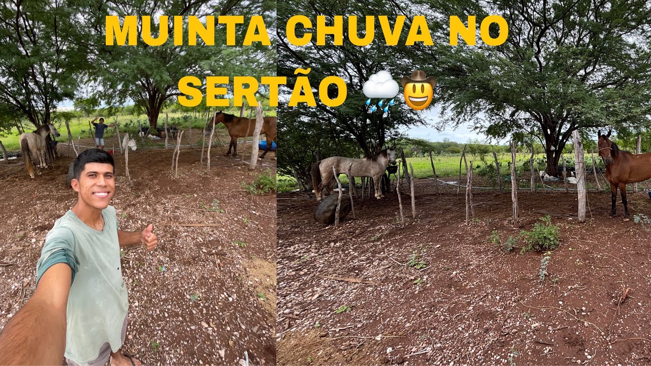 MUITA CHUVA NO SERTÃO 🌧️🤠