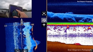 Using your Lowrance marine electronics to find the thermocline and catch more fish