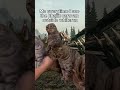 Me everytime i see the khajiit caravan outside whiterun  #skyrim