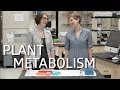 Plant metabolism! GCMS!