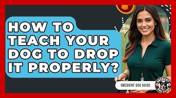 How To Teach Your Dog To Drop It Properly? - Obedient Dog Guide