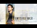 Piolo Pascual - I Need You Back (Audio) 🎵 | Platinum Hits