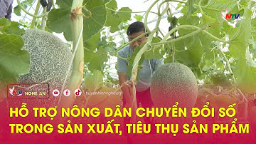 Hỗ trợ nông dân chuyển đổi số trong sản xuất, tiêu thụ sản phẩm