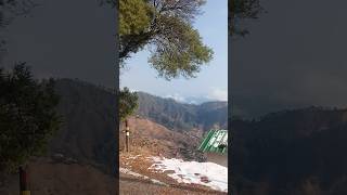 Pingli Sadee 💛 | New Garhwali Song 2025 | Fauji Lalit Mohan Joshi | Latest Pahadi Hit Song #shorts