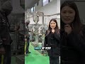 Hydraulic Oil Press Machine Cold Press for Oil Mill. #oil #oilpress #oilmaking #cookingoil #factory