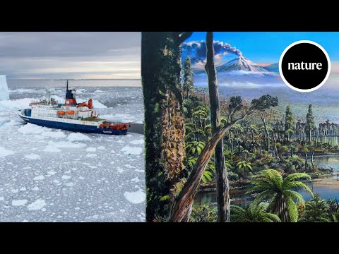 Antarctic penguins invade sunny beaches of Brazil ...
