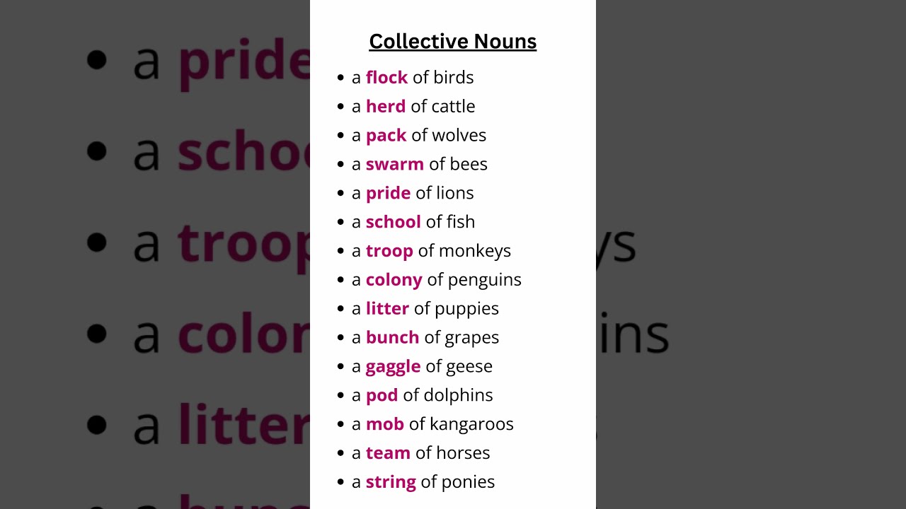 Collective Nouns List Enhance Your English Vocabulary With These Fun Words Collectivenoun