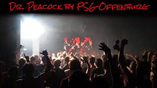 Dr Peacock mixed by FSG Offenburg CORETEX 28 05 2016 Shortcuts 1080p 30fps H264 128kbit AAC
