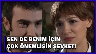 Sen De Benim Için Çok Önemlisin Şevket - Yaprak Dökümü 115.