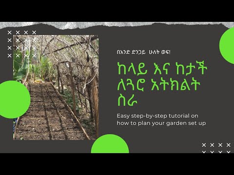 ቪዲዮ: በአንድ ካሬ ሜትር ኦውንስን ወደ ግራም እንዴት መቀየር ይቻላል?