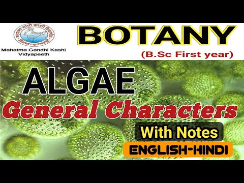 General Characteristics of Algae/Algae General Features/BSc 1st year