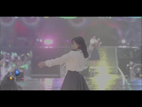 欅共和国2019