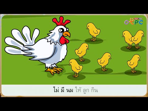 กุ๊ก กุ๊ก ไก่ - สื่อการเรียนการสอน ภาษาไทย ป.1