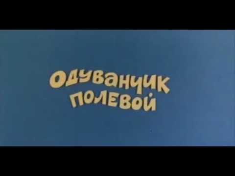 Ералаш полевой. Ералаш полевой. Ералаш полевой. Из ералаша про одуванчик полевой. Ералаш полевой.