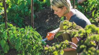 Opération Fiskars - Auchan