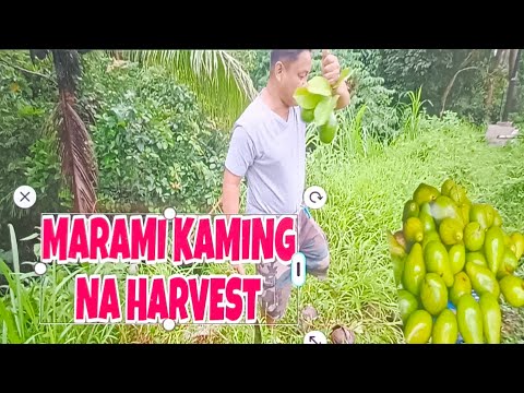 GANITO ANG BUHAY NAMIN DITO SA FARM @titaauofficial275 @Maria14_25 