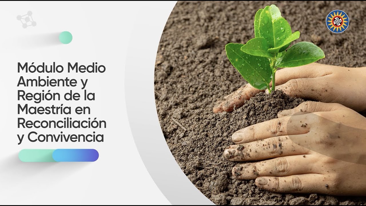 Orbita Vegetación selva Presentación Módulo Medio Ambiente y Región - YouTube