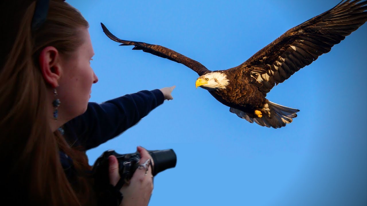 SHOOTING A BALD EAGLE *with our drone* YouTube