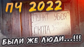 видео: Чухлома 2022. День 2. Коряги. Заклинило тормоза. Юра мы все........ Наверстаем. Красиво то как! картинка: Чухлома 2022. День 2. Коряги. Заклинило тормоза. Юра мы все........ Наверстаем. Красиво то как!