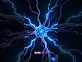 What if Free Will Doesn’t Exist?  #philosophy #philosophyshorts #deepthinking