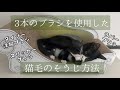 【猫と暮らす】簡単！3本のブラシを使用した猫毛の掃除方法