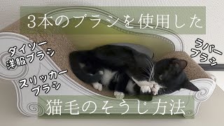 【猫と暮らす】簡単！3本のブラシを使用した猫毛の掃除方法