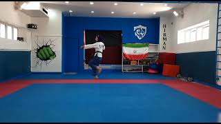 WT TAEGOUK CHILJANG FEMALE U40 ZAHRA SHAYESTEH 0109