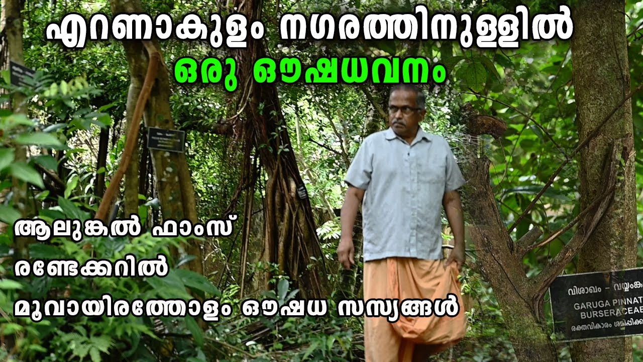 ALUNGAL FARMS-എറണാകുളം നഗരത്തിനുള്ളിൽ ഒരു ഔഷധവനം -  MEDICINAL PLANTS GARDEN KOCHI