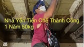 Thăm nhà chim tiền chế thành công - YouTube