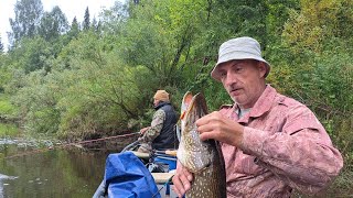 Приключения Корейца в русской тайге. Трофейная рыбалка сбор грибов готовка еды Таёжный быт