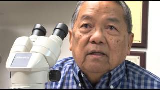 Vector Control Entomology - Part 2