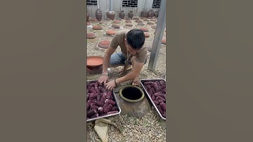 Ngâm Rượu Ngô Nếp Tím #xuhuong #food #ruou #viralvideo #youtubeshort #onghoangruoungam #amthuc