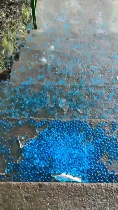 Suara botol pecah #fyp #shorts