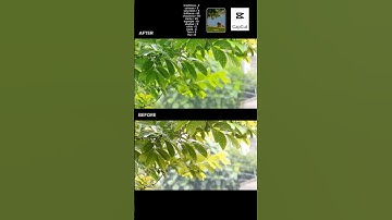 Cinematic Colour Grading Tutorial in CapCut 🔥