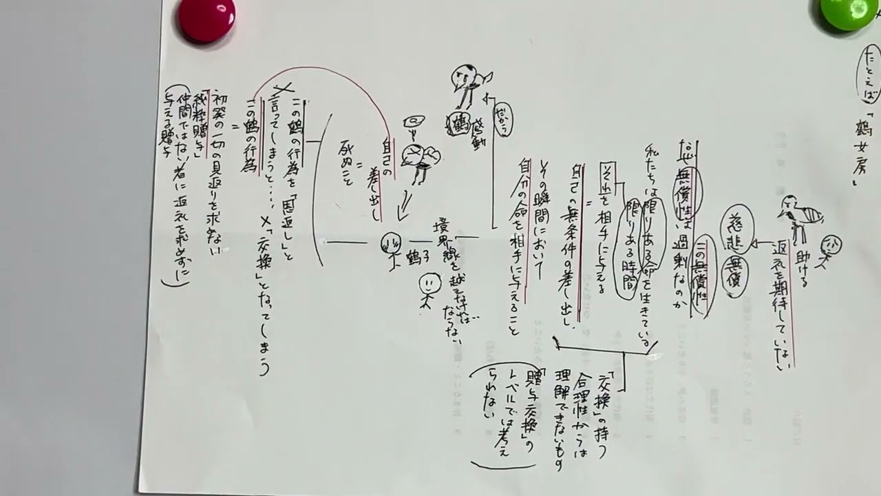 越境する動物がもたらす贈り物 2025年7月3日