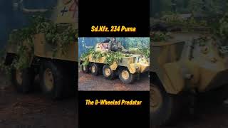It's a Puma! Sd.Kfz. 234/2 #puma #ww2 #militaryhistory #tank