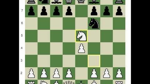 The Petroff Defence - Chess Video