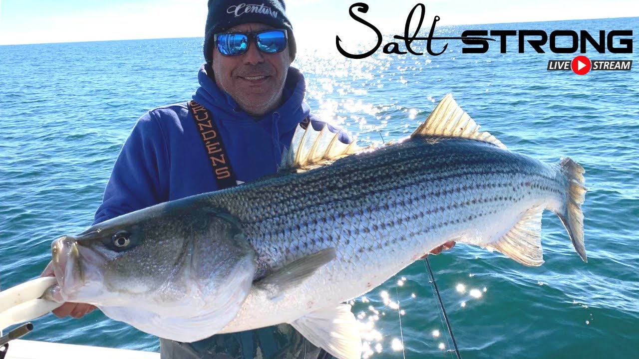 Striped Bass and Blackfish Season Update with George Bucci