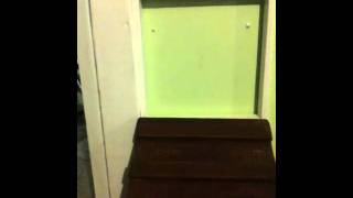 self door locking chicken